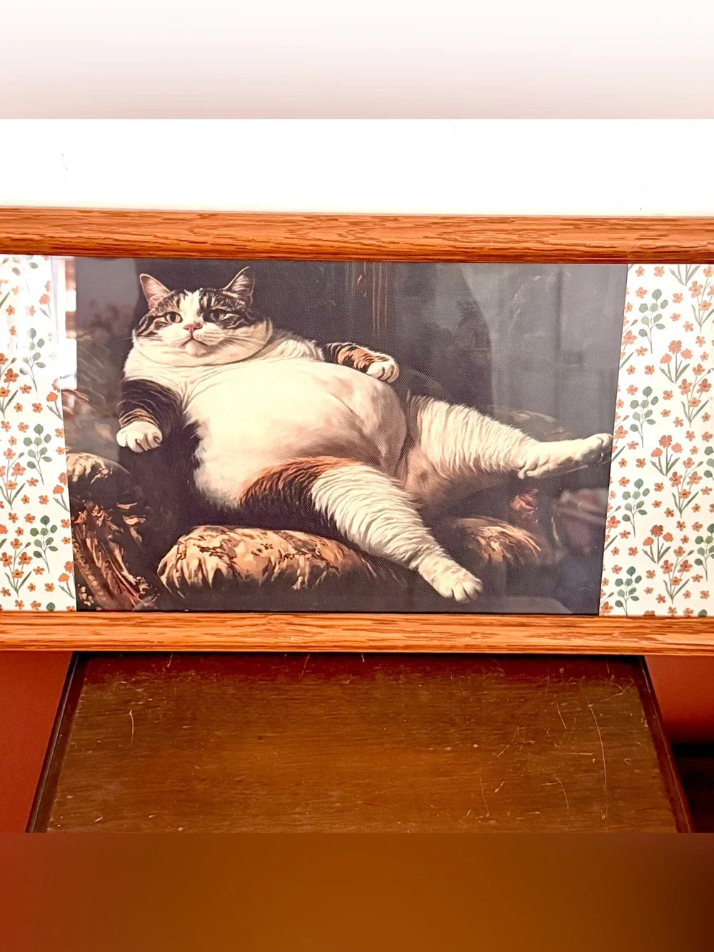 Fat Cat Quirky Canvas Art Print Floral Border Wood Framed Weird Wall Hang Art